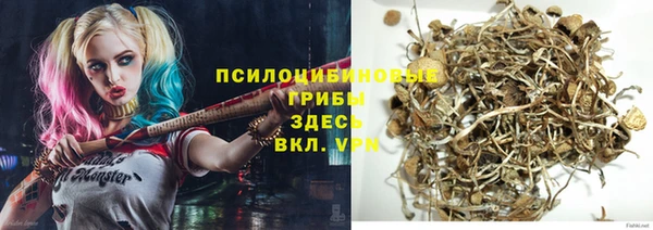 метадон Алексин